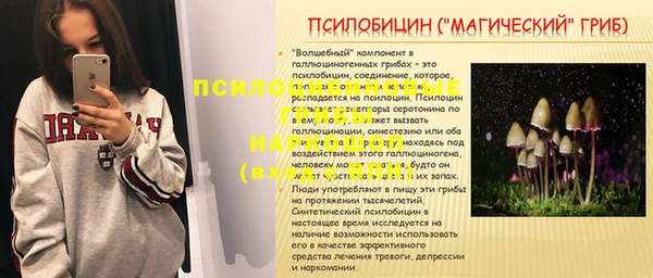 марки nbome Заводоуковск